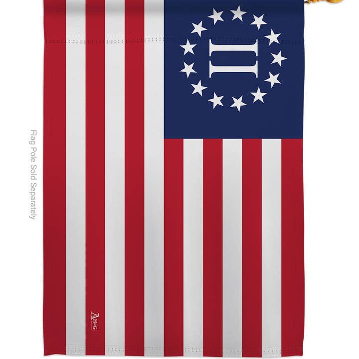 Two Group Flag Co – Großhandel Flagge – Zweite amerikanische Revolution Americana Historische US-Flagge1