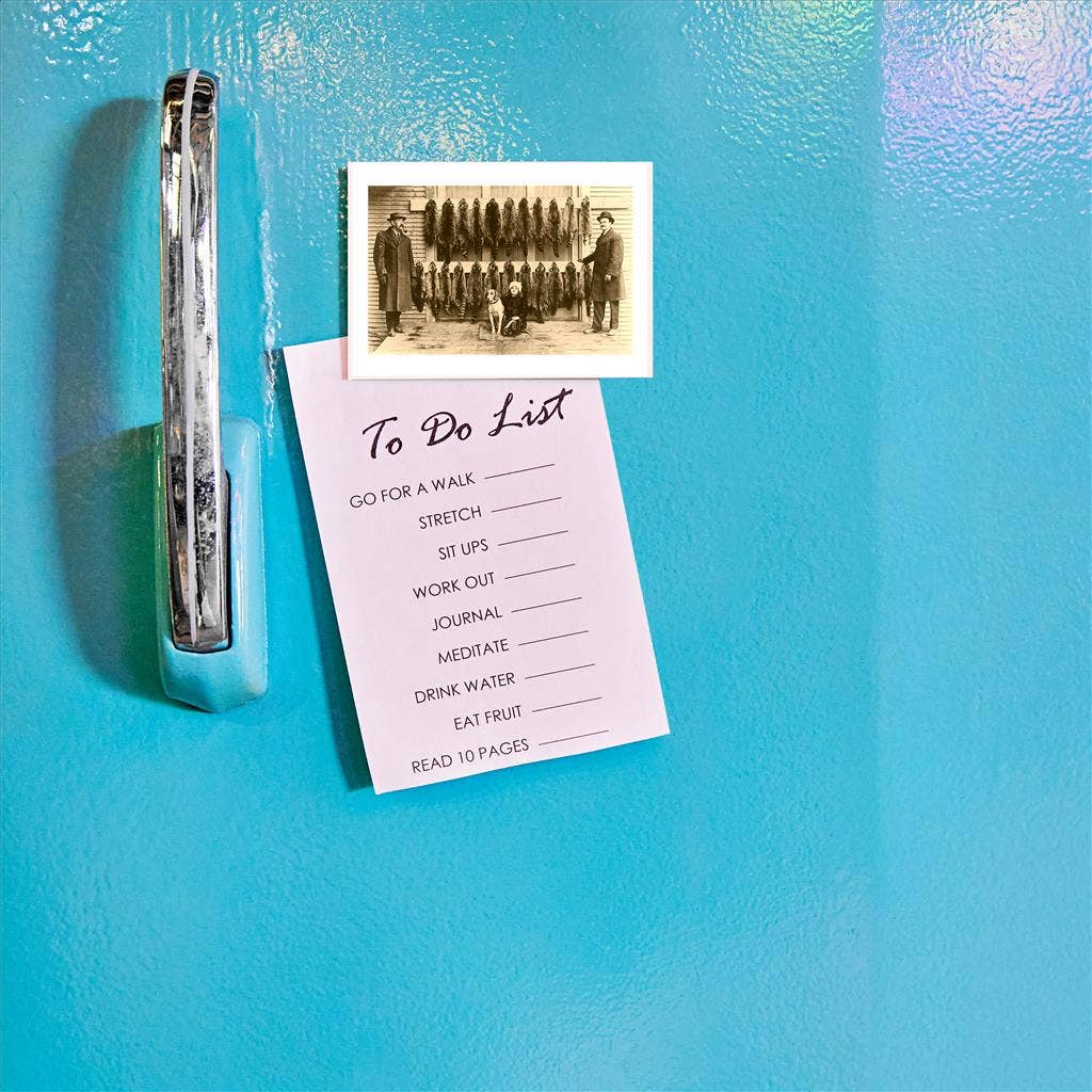 Found Image Press - Wholesale Magnet - Magnet FS-165 Rows of Pelts1