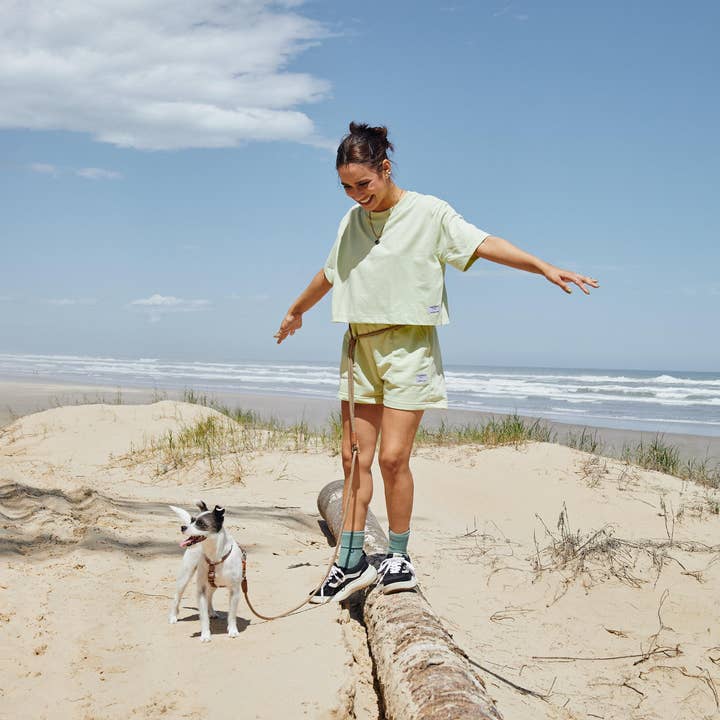 Toh - Wholesale Pet Leash - Dog - Hands-Free Leashes - Khaki5