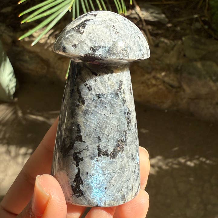 ZeeRocks - Wholesale Spiritual Stone/Crystal - LARVIKITE MUSHROOMS2
