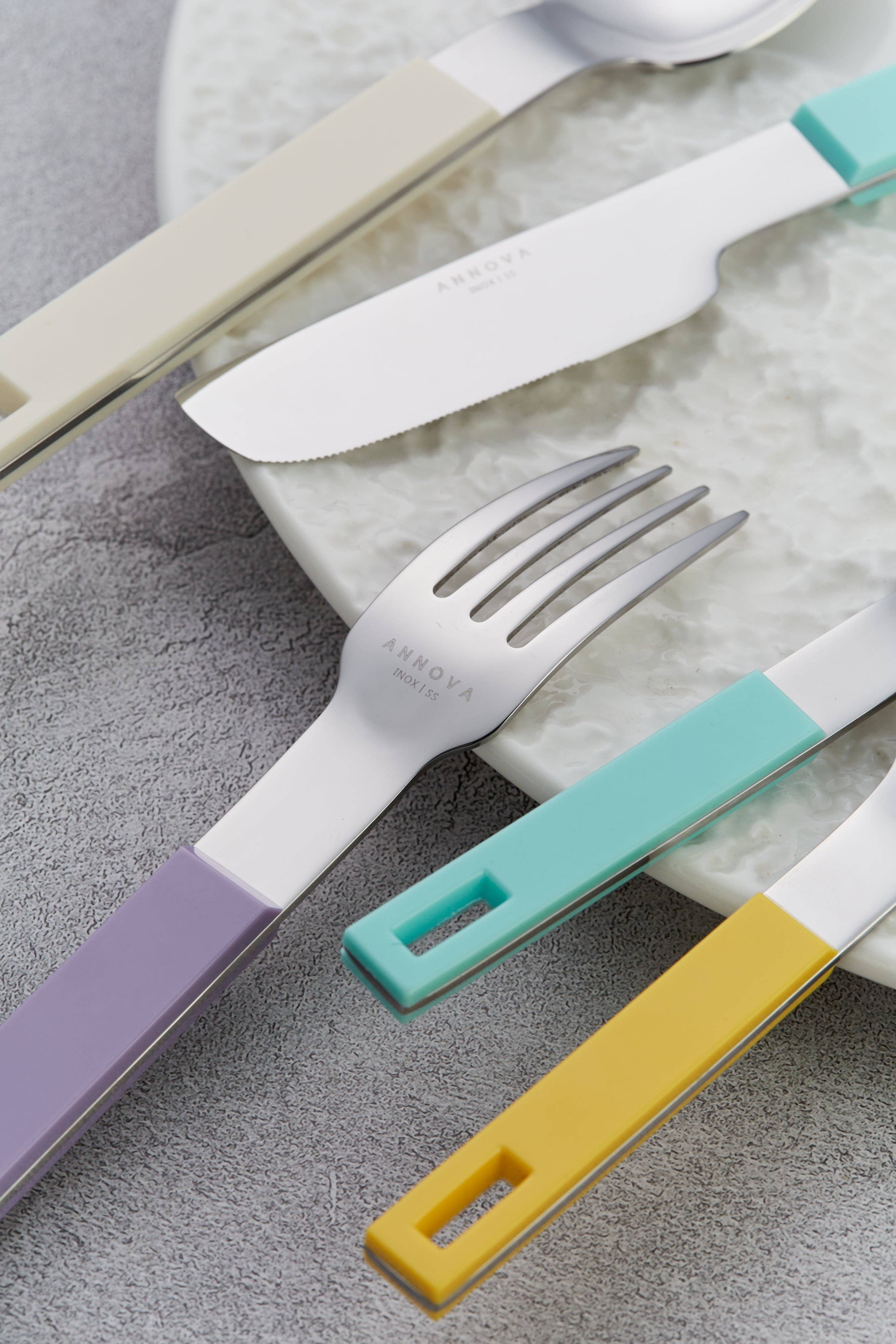 ANNOVA - Wholesale Flatware Set - ANNOVA Block Handle Silverware Set 20 Pieces Color Modern Style Flatware47