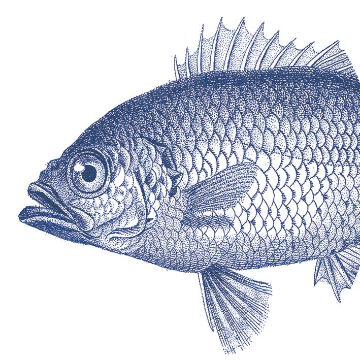 Fish Marine 33X33Cm for wholesale by ppd Paperproducts Design GmbH