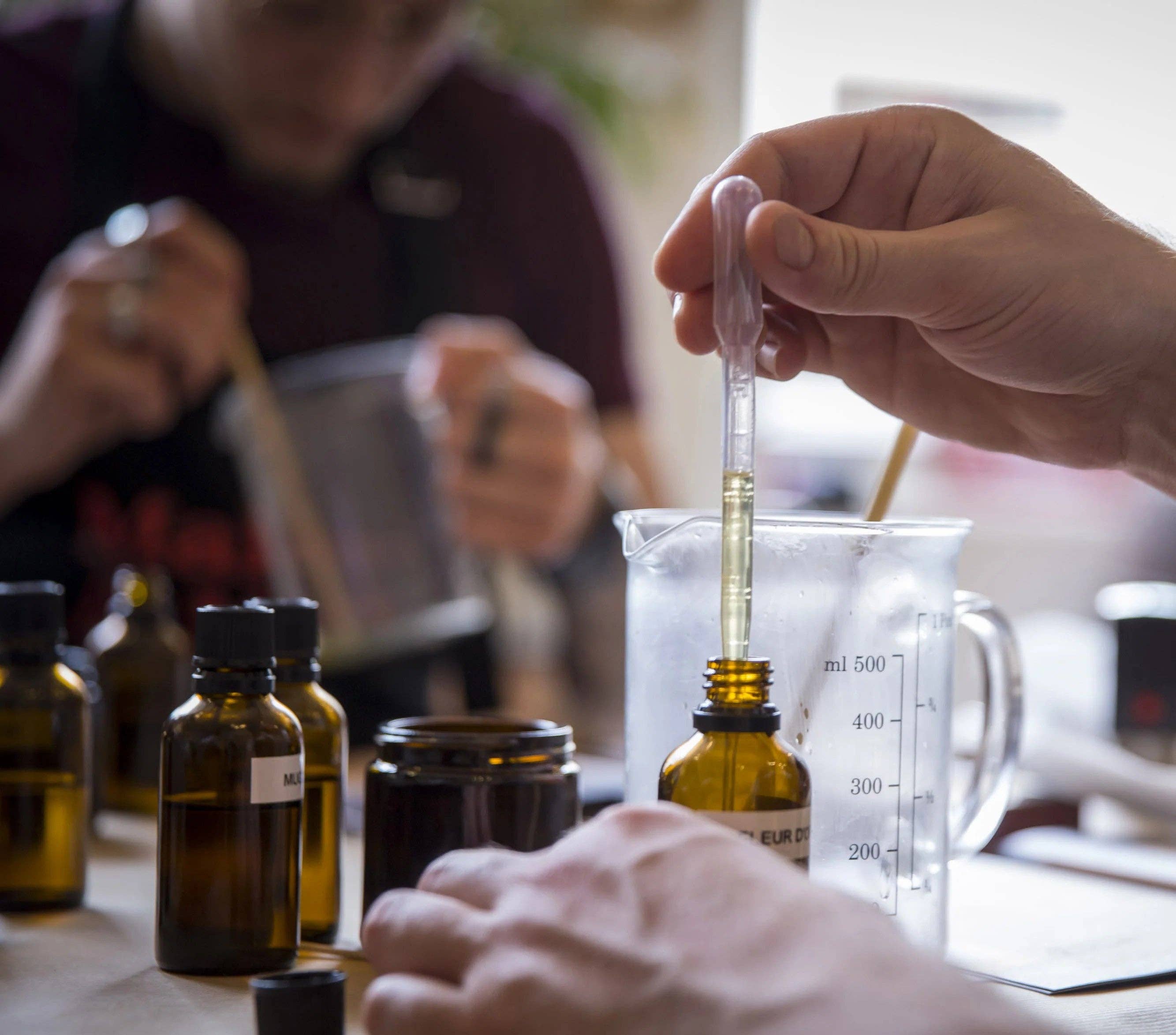 LA BOUGIE HERBIVORE - Wholesale Jar/Filled Candle - White Label Scented Candle – 140g Amber Glass6