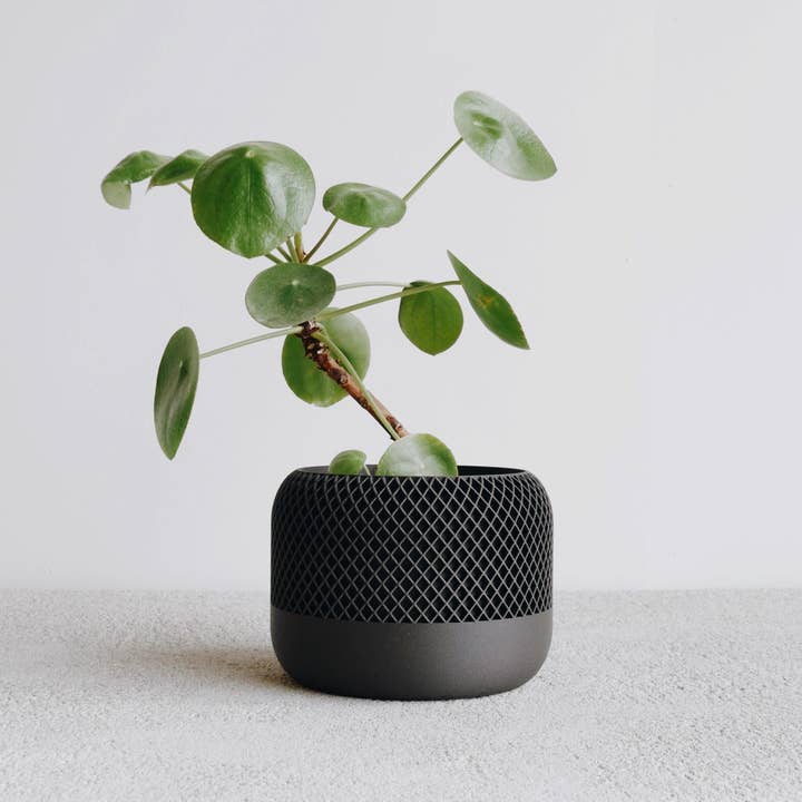 MINIMUM DESIGN - Wholesale Plant Pot - Large Indoor Planter - APPLE