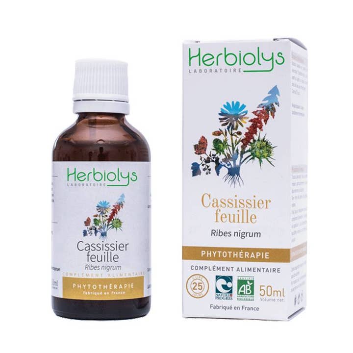 Blackcurrant Leaf Phytotherapy for wholesale by Herbiolys