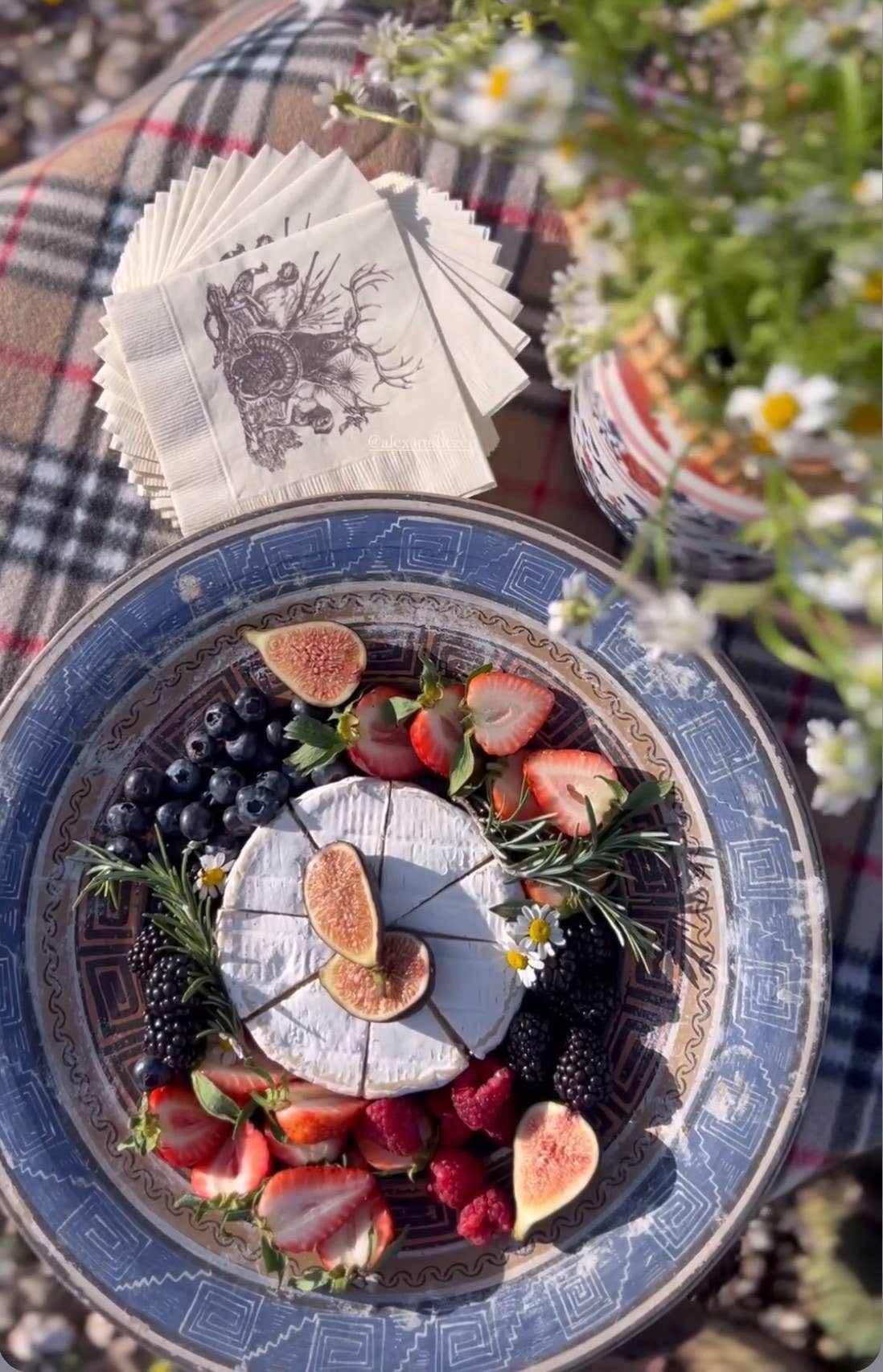 Alexa Pulitzer – Guardanapo descartável por atacado – Guardanapos descartáveis para bebidas com tema de caça On The Hunt2