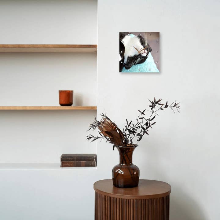 3dRose – wholesale Väggklocka – 3dRose, sovande svartvit katt, väggklocka5