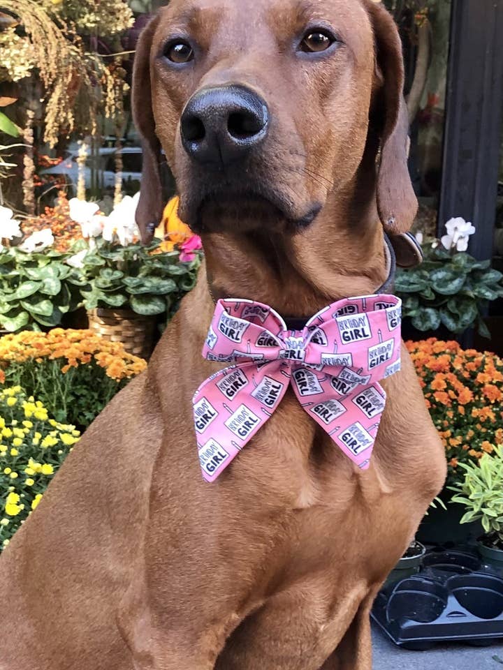 Fødselsdag pige sømand bue for engroshandel hos Koa's Ruff Life