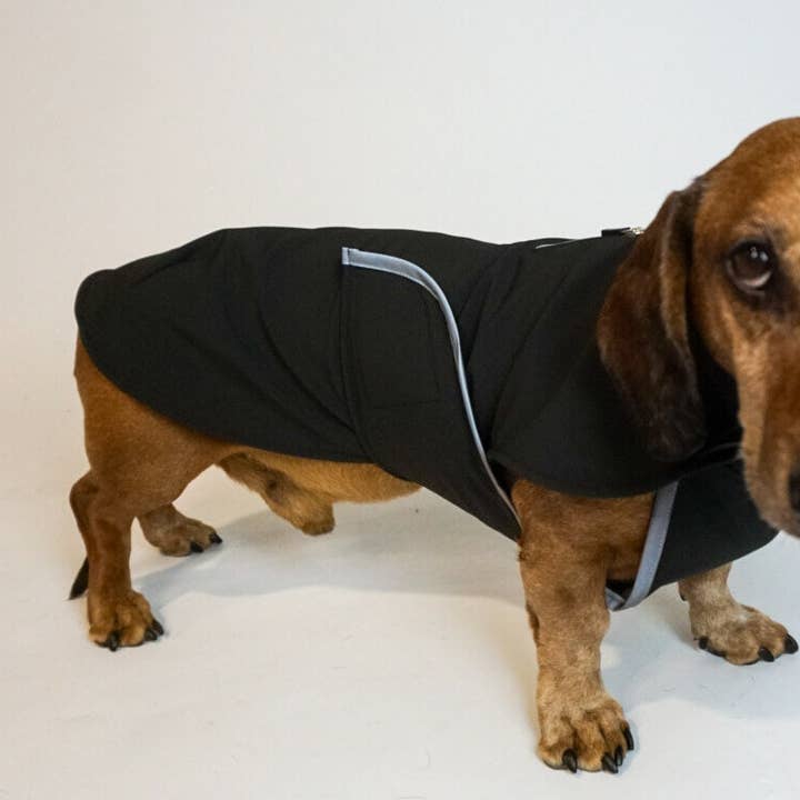 Black Softshell Dog Coat with Covered Chest for wholesale by Dachshund Couture