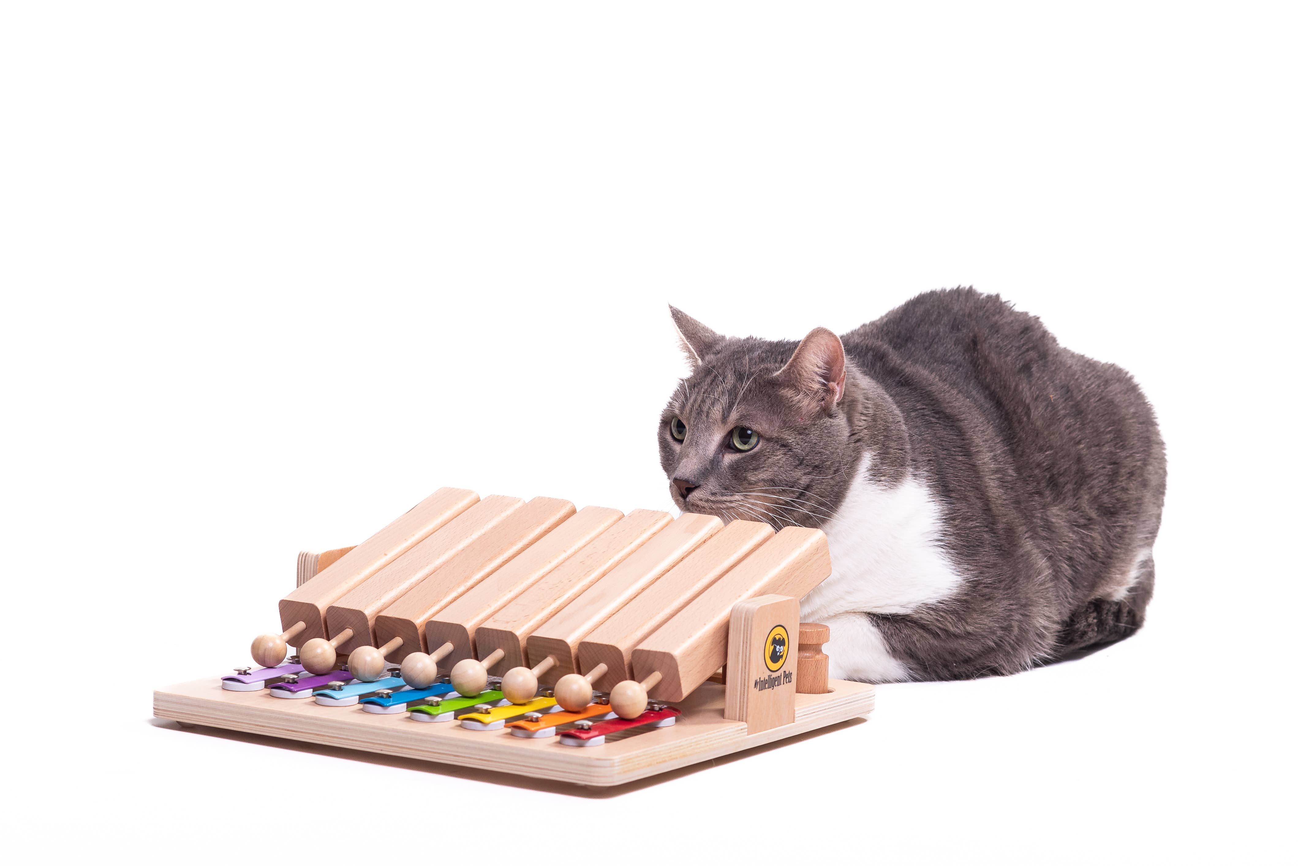 My Intelligent Dogs - Wholesale Pet Toy - Cat/Dog - Piano - Interactive Toy Product of the Year - enrichment toy2