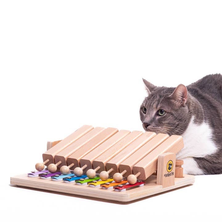 My Intelligent Dogs - Wholesale Pet Toy - Cat/Dog - Piano - Interactive Toy Product of the Year - enrichment toy2