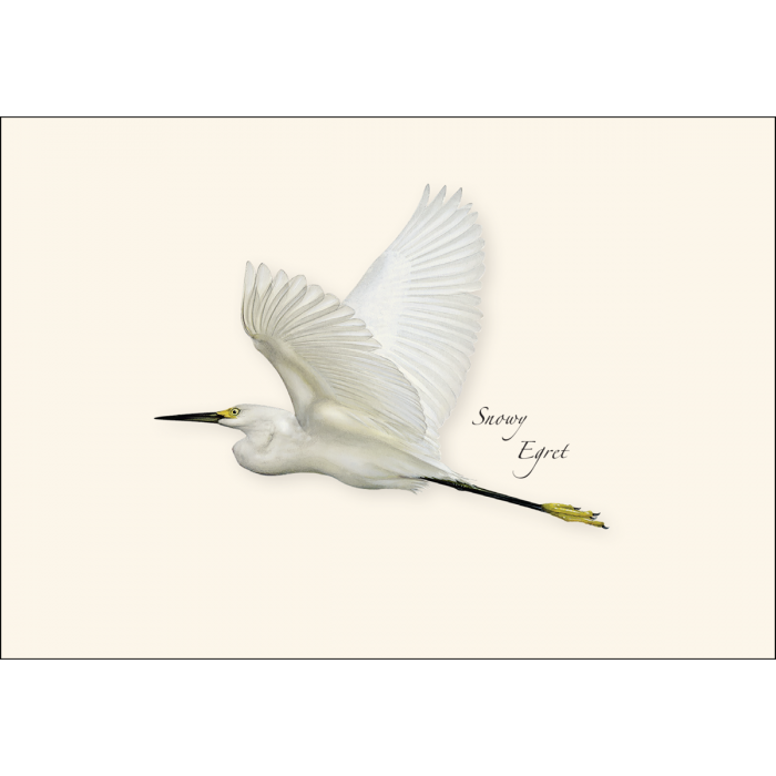 Earth Sky + Water - Wholesale Stationery/Notecard Set - Egret Assortment2