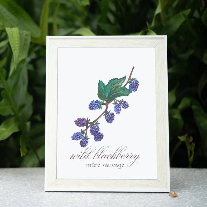 Wild Blackberry - Watercolor Art Print for wholesale by Moonlight Makers