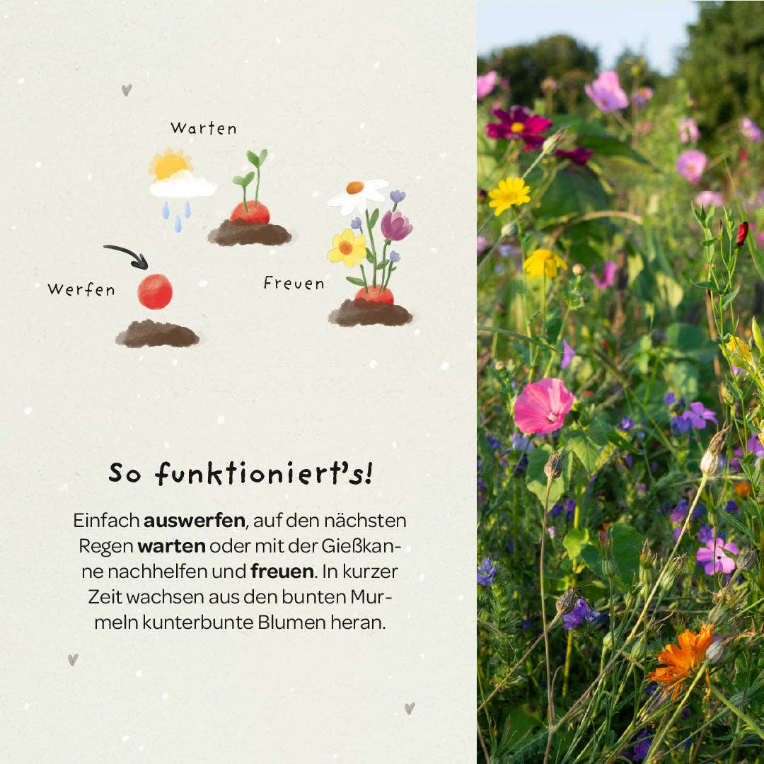 TDJ Stadtgärtner GmbH - Wholesale Plant Seeds - 5 flower marbles in a glassine bag - "Finally a schoolchild" - school enrollment3