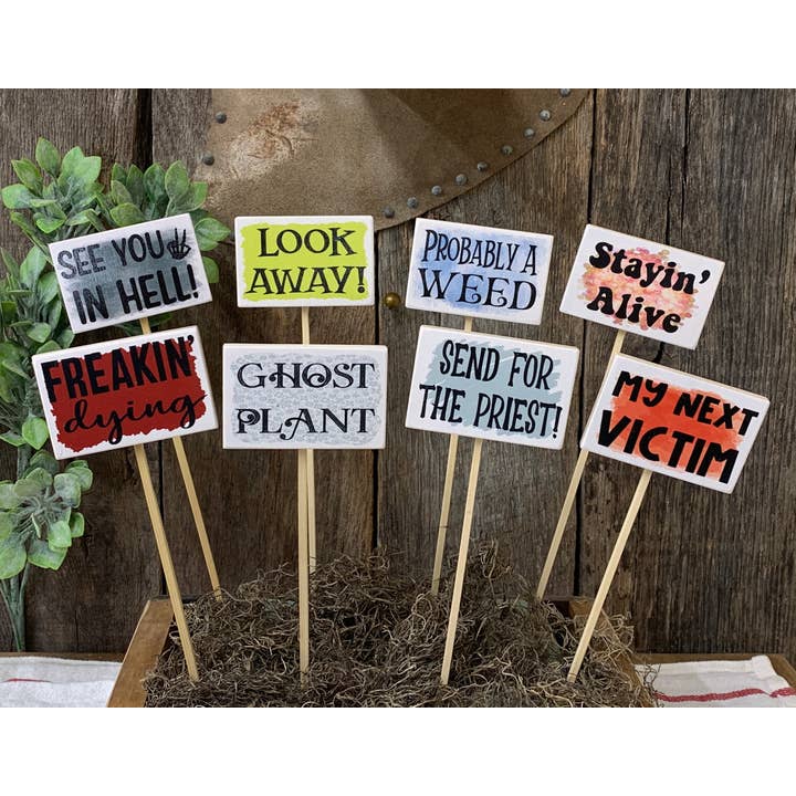 Plant Stake, Plant Marker, House Plant Sign, Plant Tag for wholesale by North Fork Mercantile