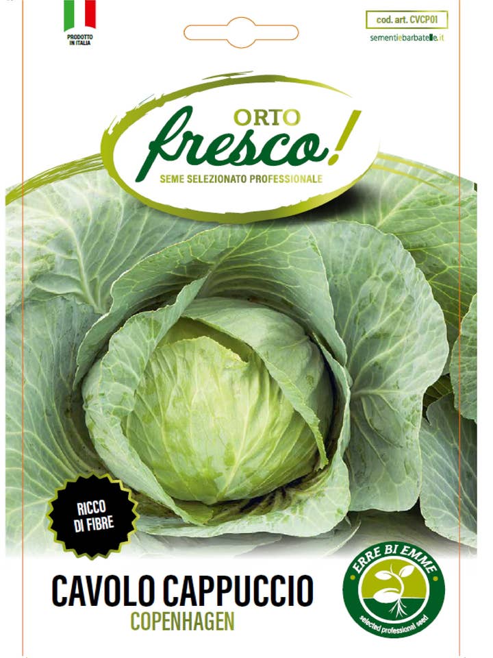 Copenhagen Cabbage for wholesale by Sementi & Barbatelle