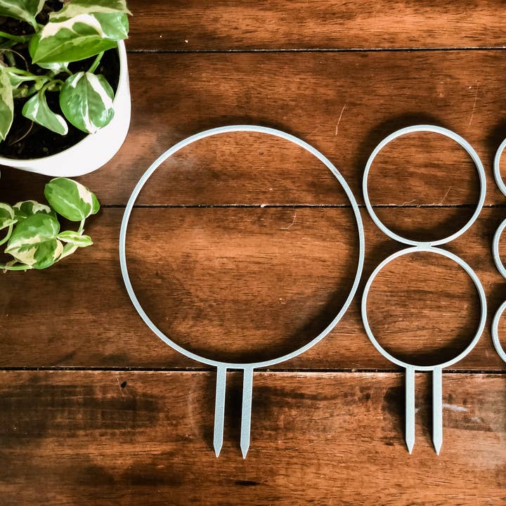 Pine & Sprout - Wholesale Trellis - Circle Houseplant Trellis