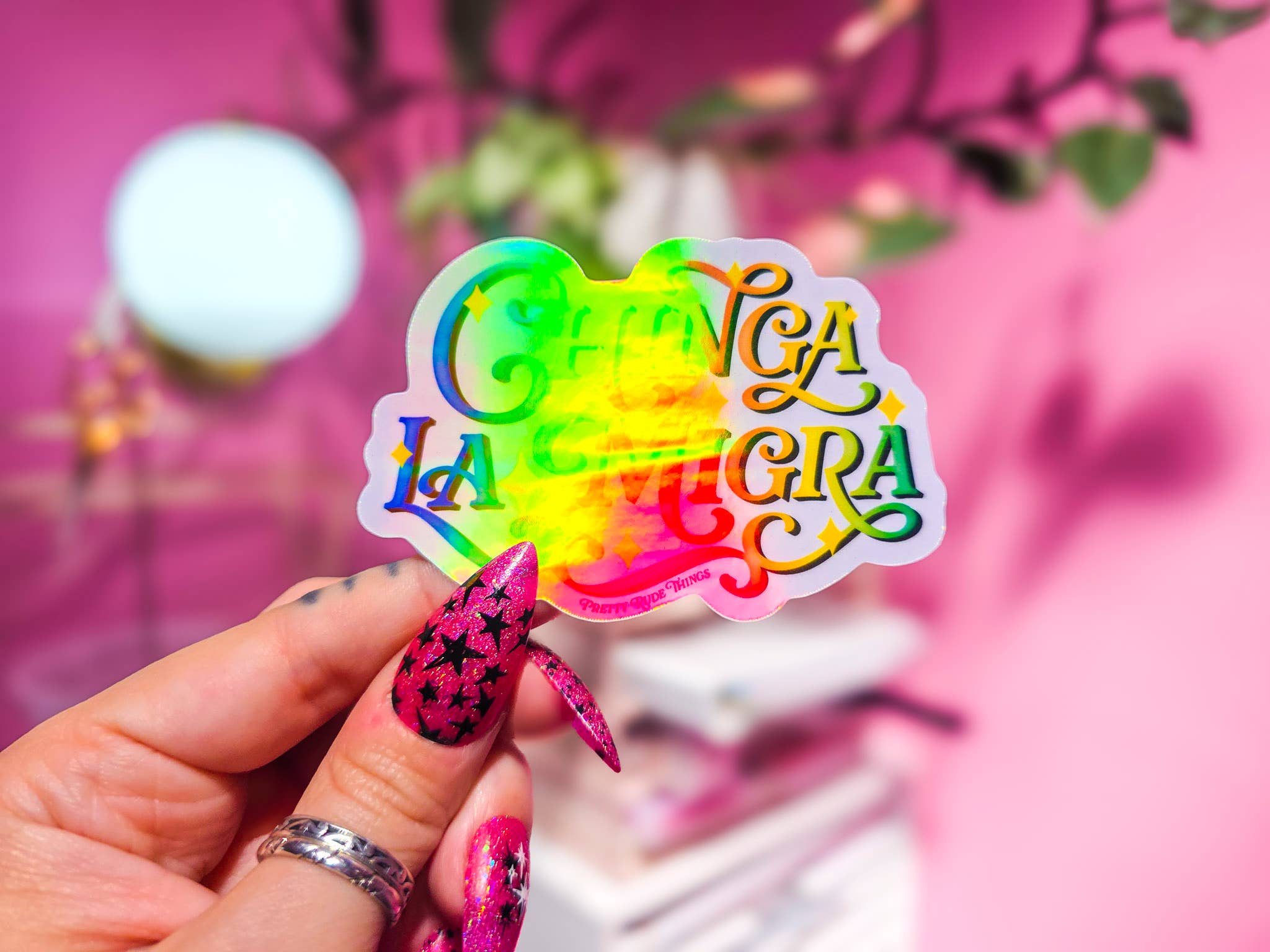 Pretty Rude Things - Wholesale Sticker - Chinga La Migra, F*ck ICE, Pro Immigration Sticker8