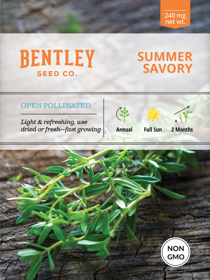 Summer Savory for wholesale by Bentley Seed Co.