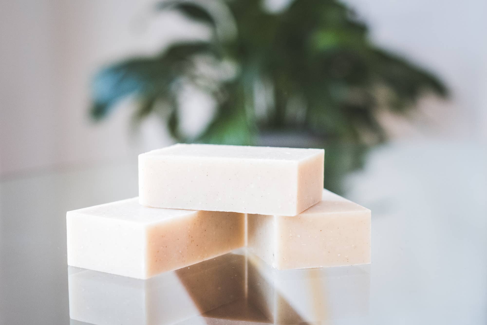 Wildland Organics – sabonete sólido por atacado – A barra de desperdício zero + lata de viagem6