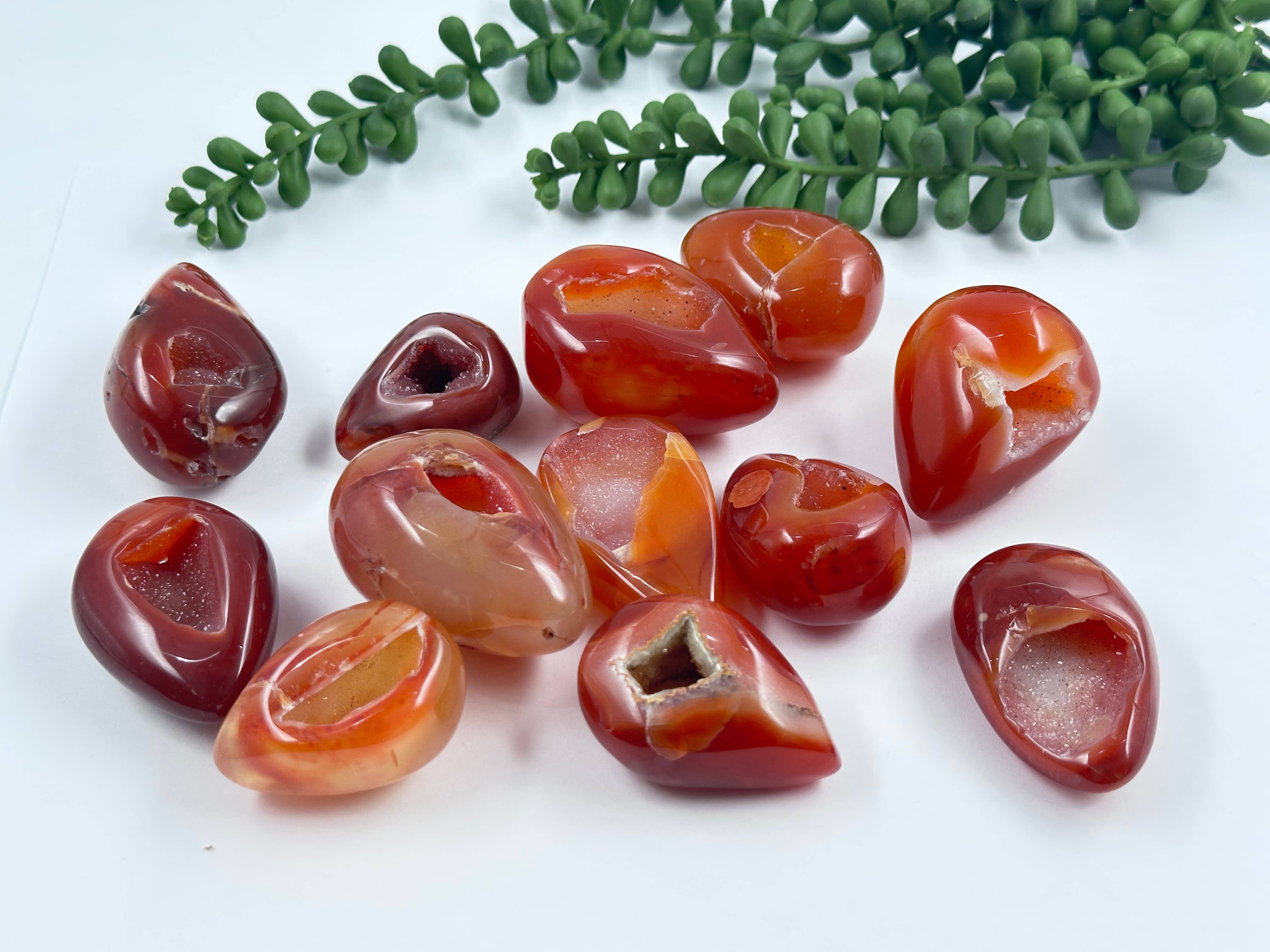 Meraki Gemstones - Wholesale Spiritual stone/crystal - Carnelian Druzy Eggs - AAA Quality3