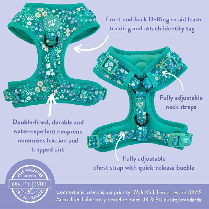 WYLD CUB - Wholesale Pet Harness - Dog - Adjustable Dog Harness: Notting Hill Mint11