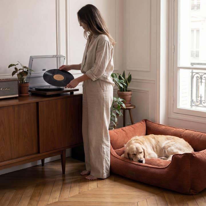 Bastille - Panier chien orthopédique velours côtelé rouille pour la vente par BAGANE