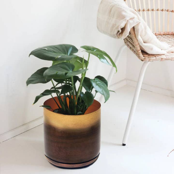 Chive - Wholesale Plant Pot - Joe Metal Pot & Saucer 7"/8"/10"/12"
