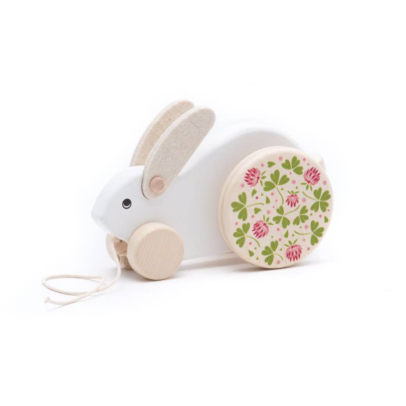 BAJO WOODEN TOYS – wholesale Wood toy – Child – Wooden Big Rabbit (Jumping)0