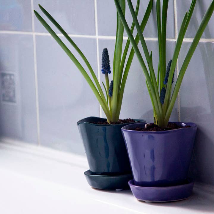 Chive - Wholesale Plant Pot - Tika Ceramic Pots With Saucer And Drainage Hole - 3"9