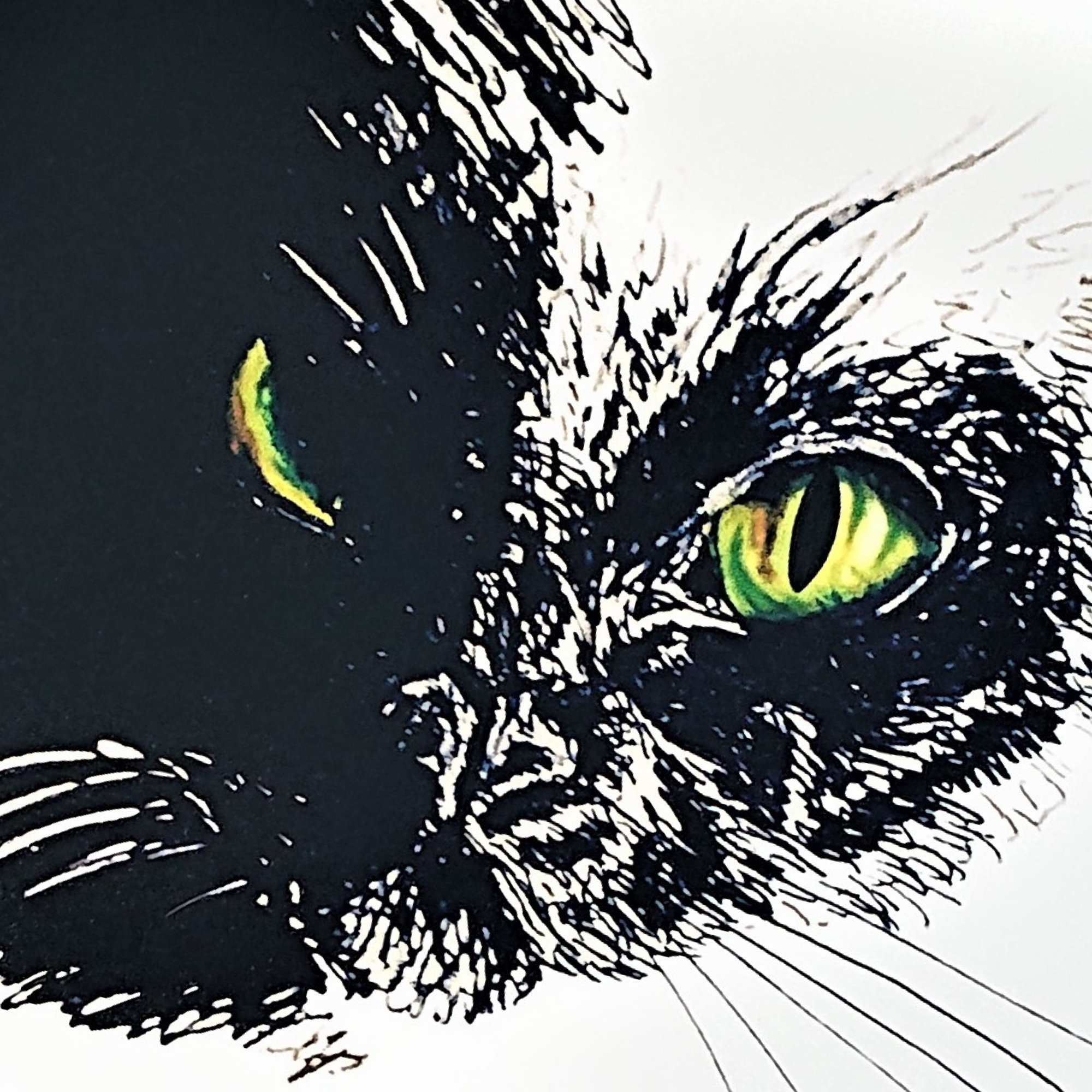 Hannah Kate Makes - Wholesale Art Print - Black Cat Art Print - A5/A4 - Halloween Witch's Familiar10