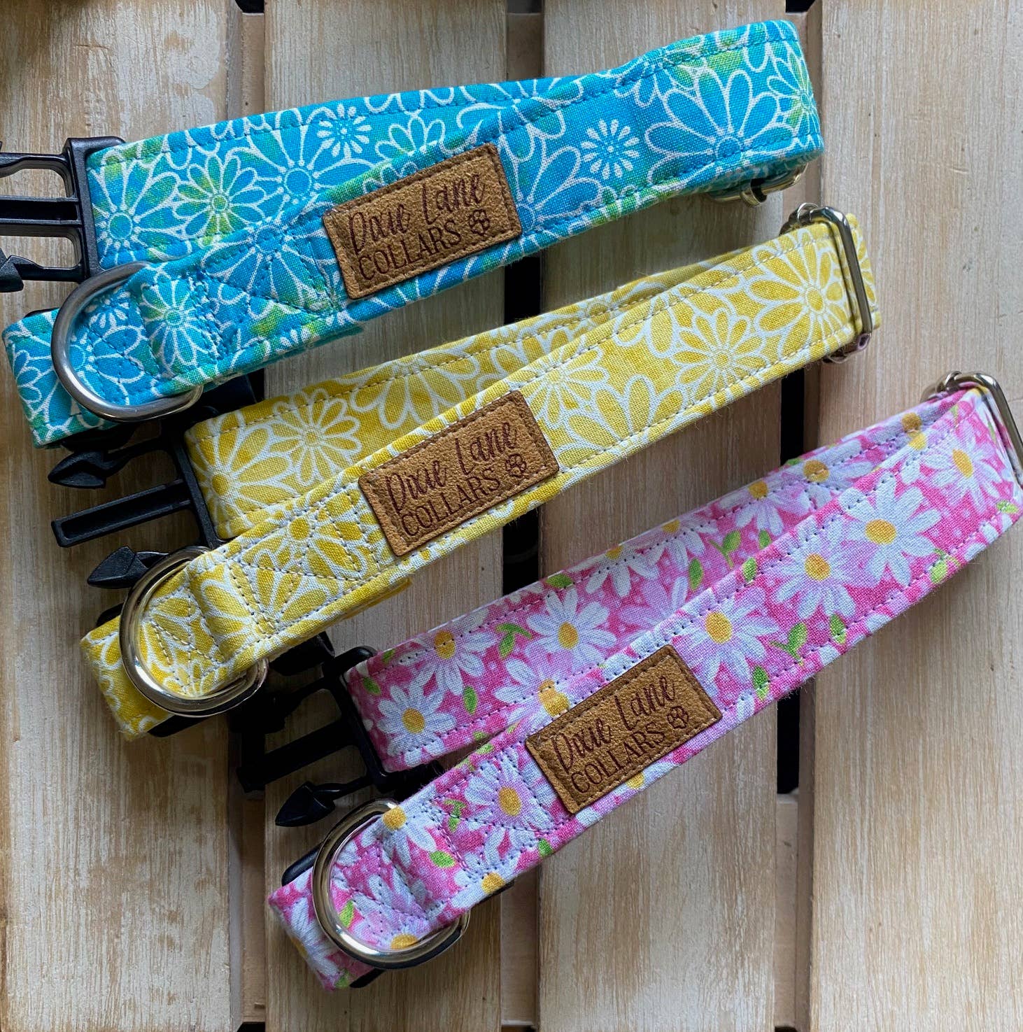 Dixie Lane Collars – coleira - Cão por atacado – Coleira para Cão Margarida Azul-Esverdeada, Primavera/Verão, Dixie Lane Collars2