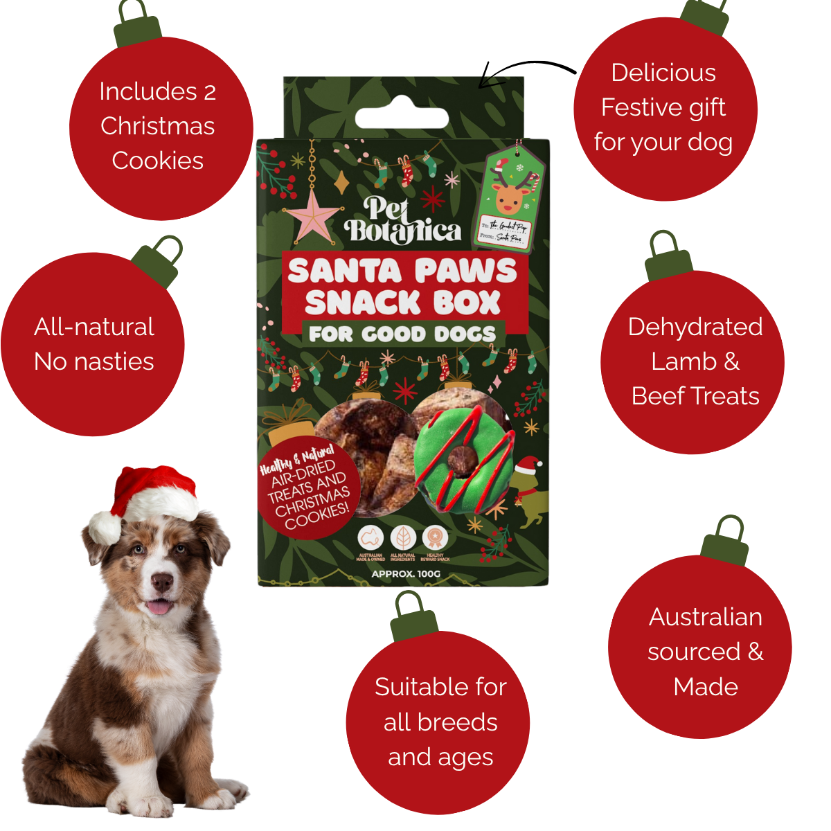Pet Botanica - Wholesale Pet Treats - Dog - Santa Paws Snack Box | Christmas Treats | Dog Christmas gift1