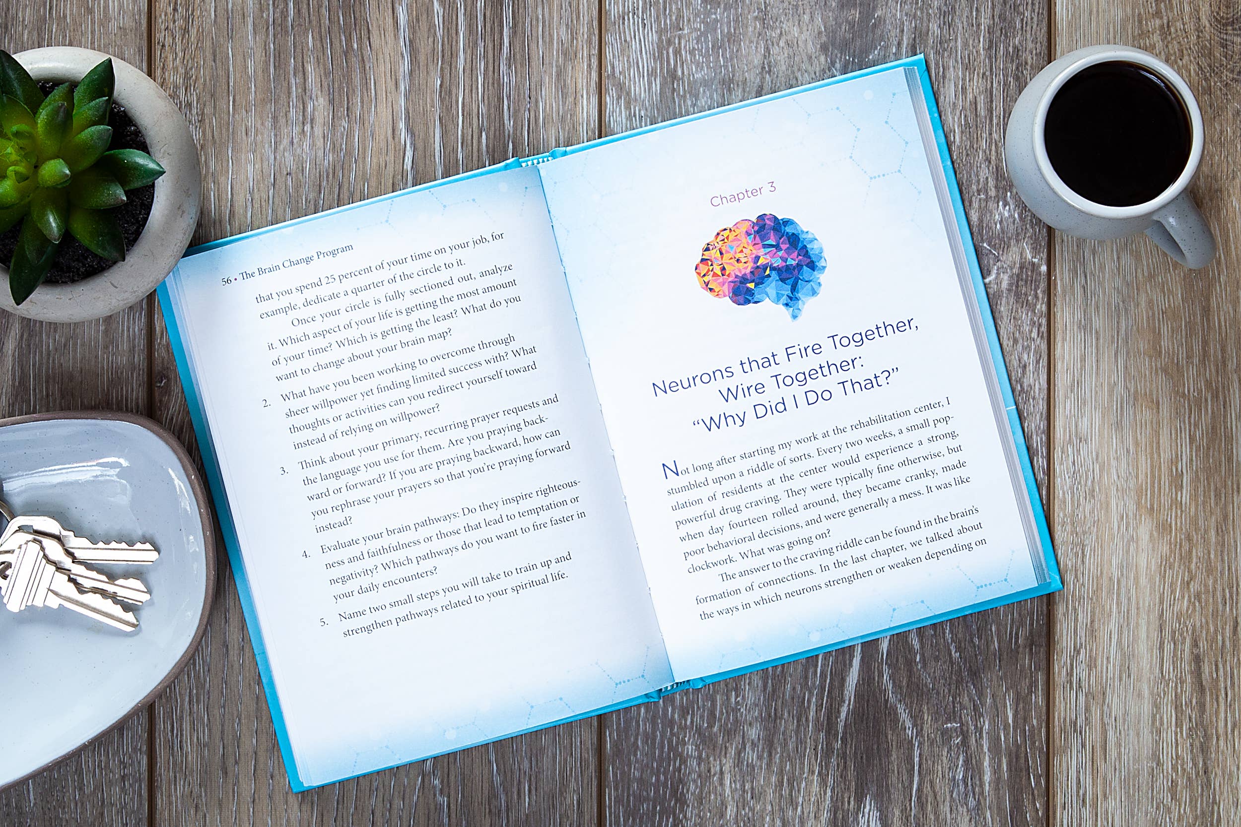 BroadStreet Publishing Group, LLC - Wholesale Self-Help & Personal Development Book - The Brain Change Program (Self-Help Book)1