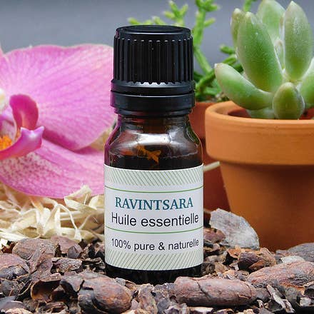 HE von Ravintsara für den Großhandel von PUR SENS