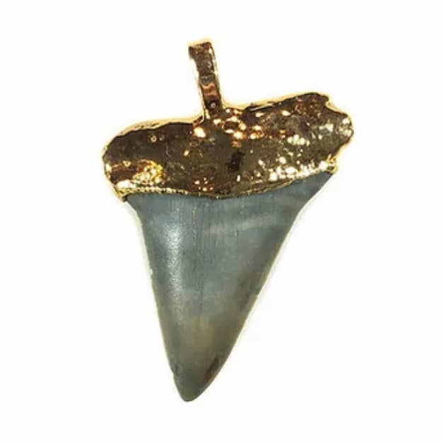 Little FIN Or 375 pour la vente par Fin montauk