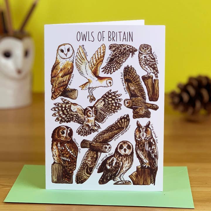 Alexia Claire Ltd – wholesale Everyday greeting card – Owls of Britain Art Blank Greeting Card