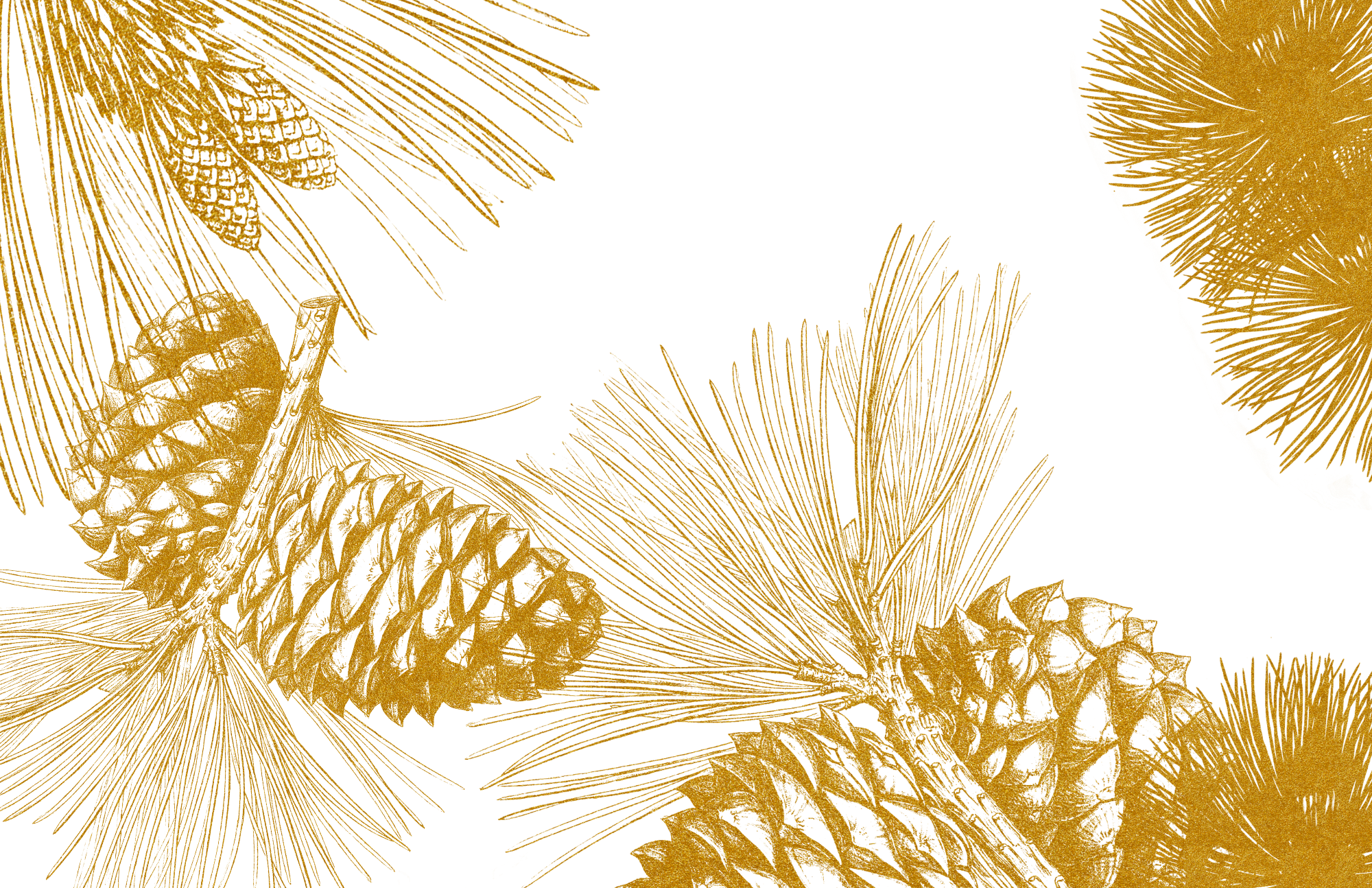 TAYLOR GRAY - Wholesale Decorative Tray - 11x17 TRADITIONAL CHRISTMAS insert set of 109