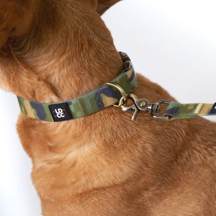 El collar de Danny para venta al por mayor de The Long Dog Clothing Co.