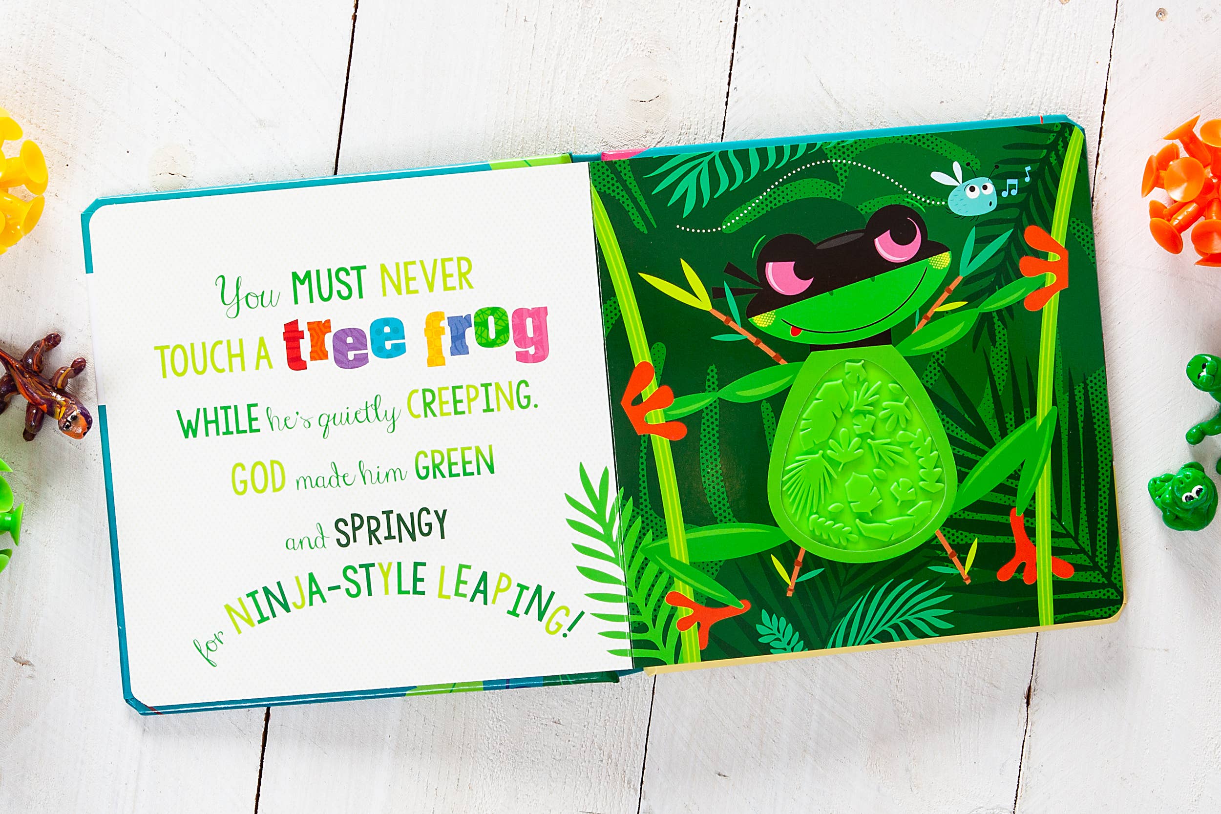 BroadStreet Publishing Group, LLC - Wholesale Baby & Toddler Book (0-2) - Never Touch God’s Colorful Creations (Tactile Book Ages 0+)2