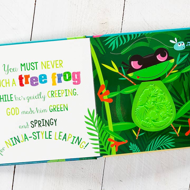 BroadStreet Publishing Group, LLC - Wholesale Baby & Toddler Book (0-2) - Never Touch God’s Colorful Creations (Tactile Book Ages 0+)2