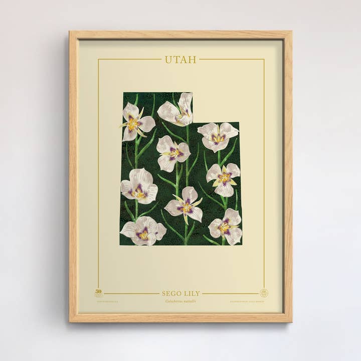 Stampa botanica nativa dello Utah per la vendita all'ingrosso da parte di 50 States of Beauty