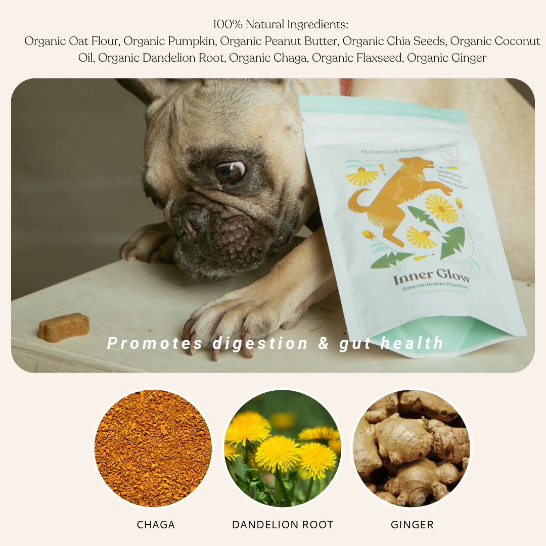 Botanical Bones - Wholesale Pet Treats - Dog - Inner Glow Cookies - All Natural, Organic Dog Treats 9