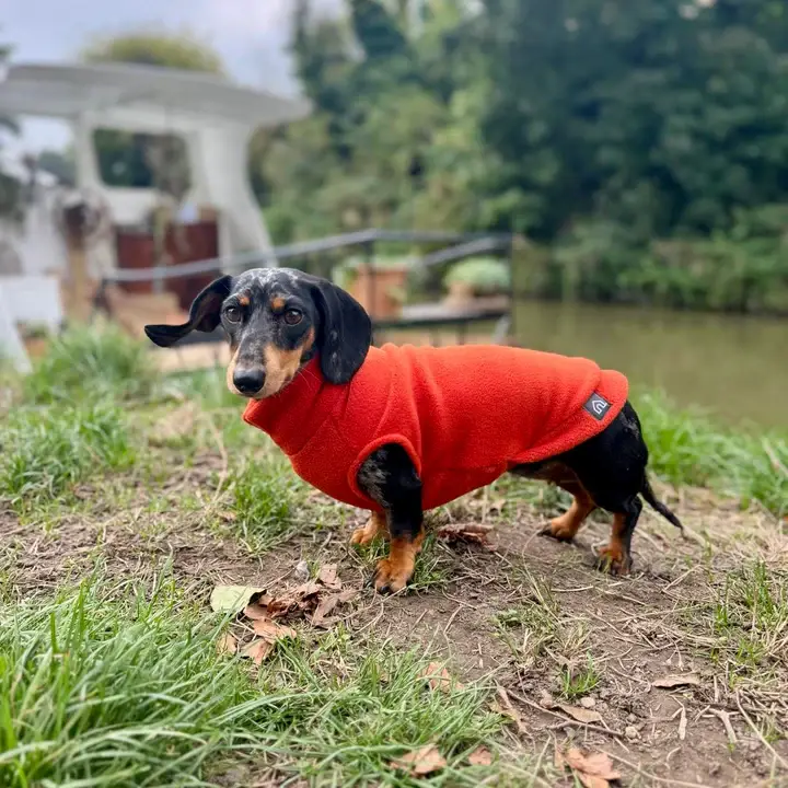 Doghouse – wholesale Pet jumper – Dog – Dachshund Fleece Jumper4