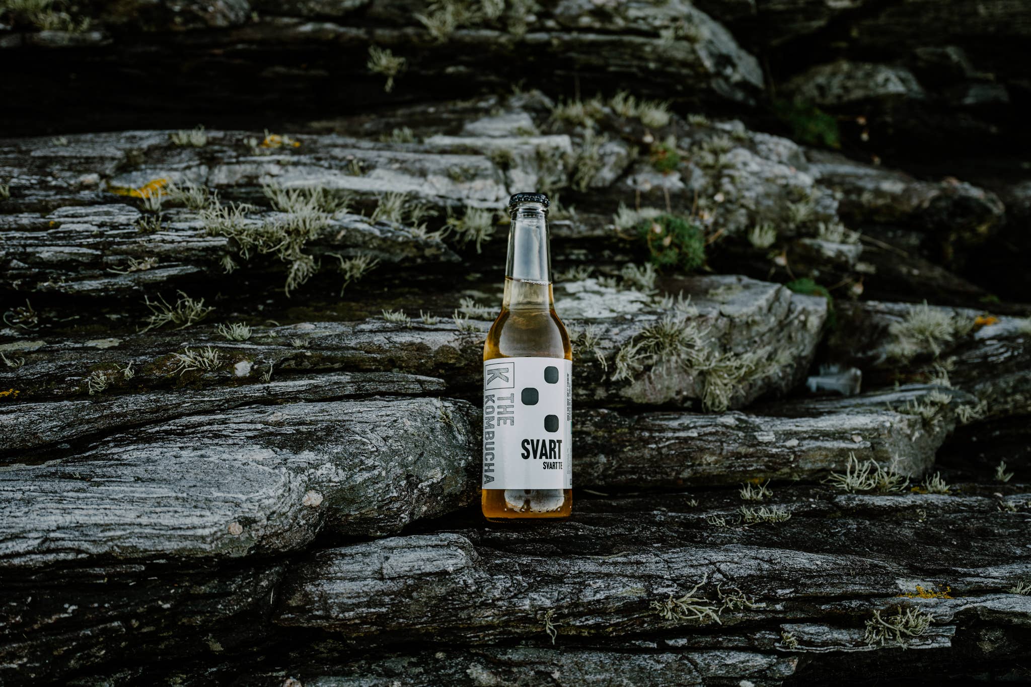 The Kombucha - Wholesale Kombucha - The Kombucha Svart