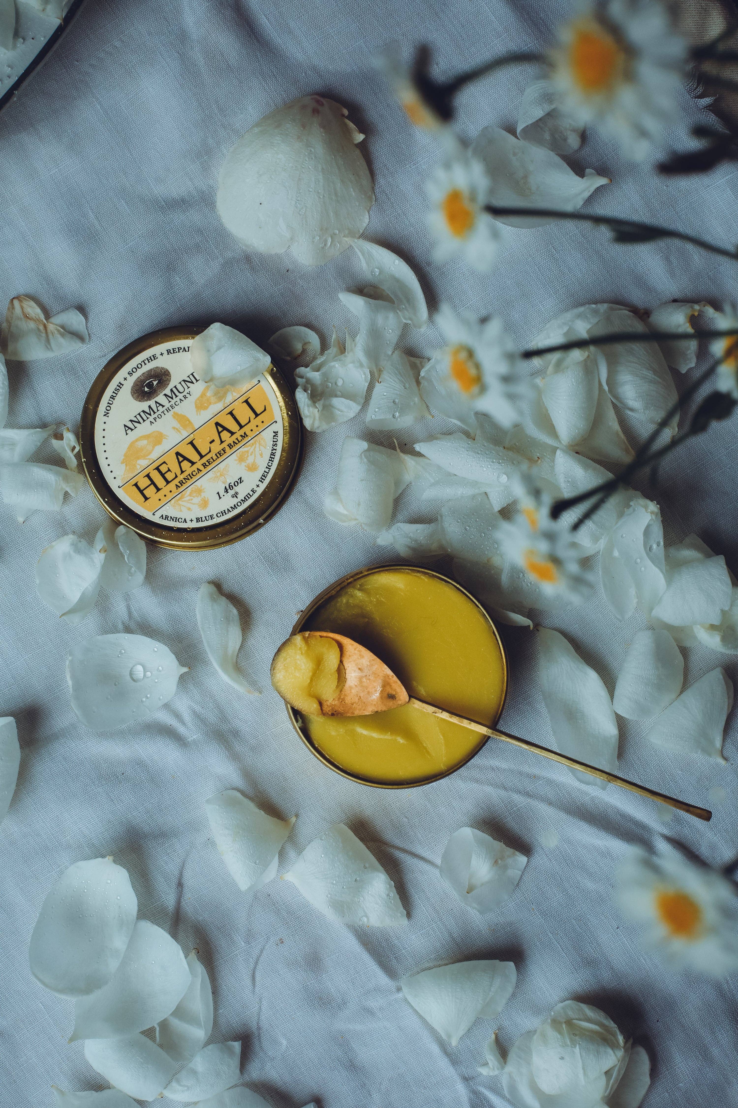 Anima Mundi Apothecary - Wholesale Healing Salve/Balm/Cream - HEAL-ALL Arnica Relief Balm | Nourish, Soothe + Repair 2