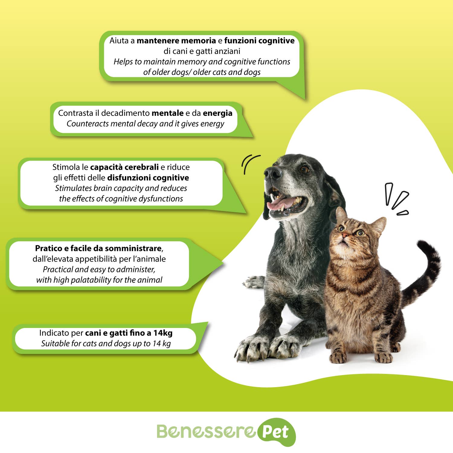 Dynamopet SRL - Vente Compléments alimentaires – chat et chien - SENEX PET S (100 g) - Mémoire et fonctions cognitives pour animaux seniors1