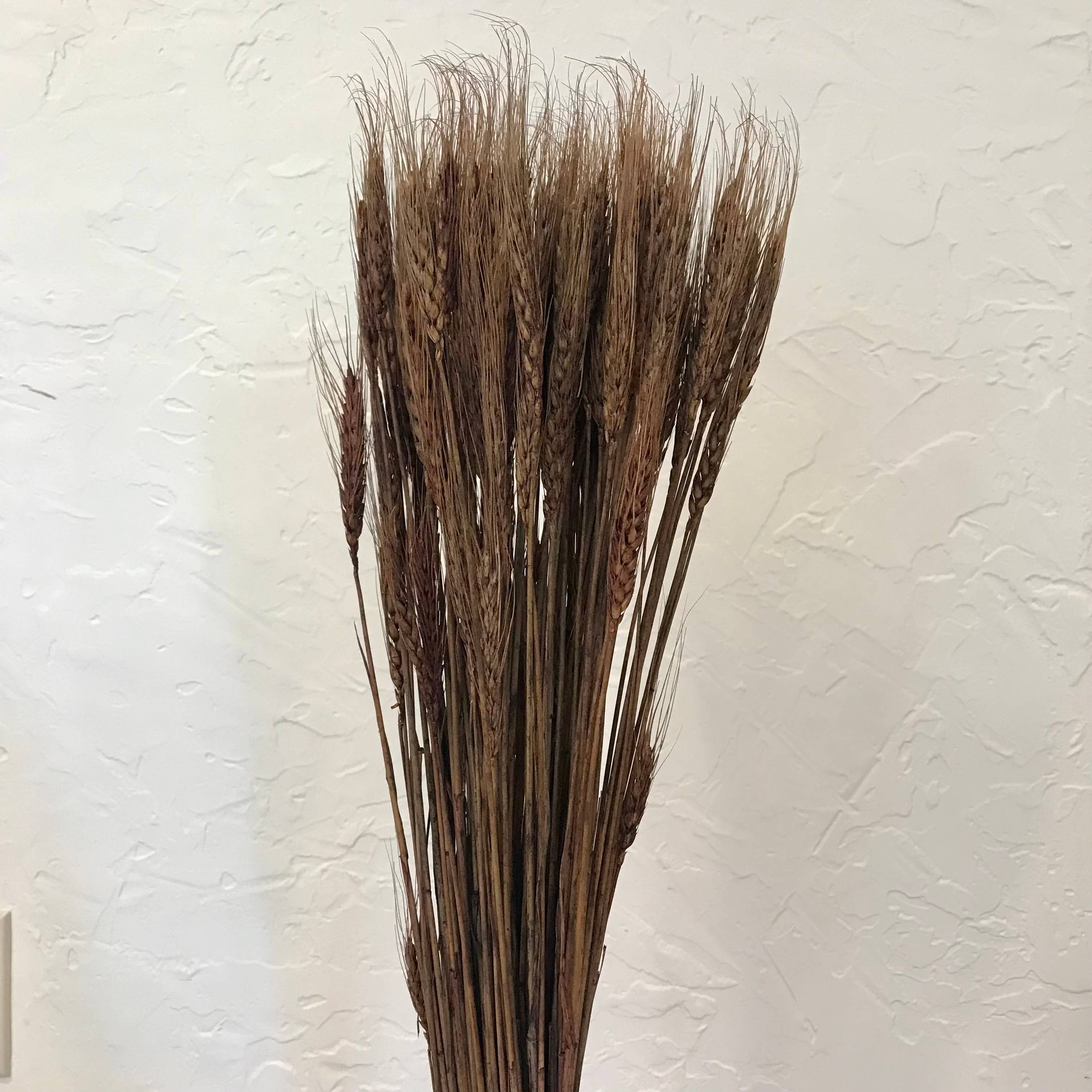 Wilco Home - Wholesale Dried/Pressed Flowers - Natural Wheat Bundle Bouquet3