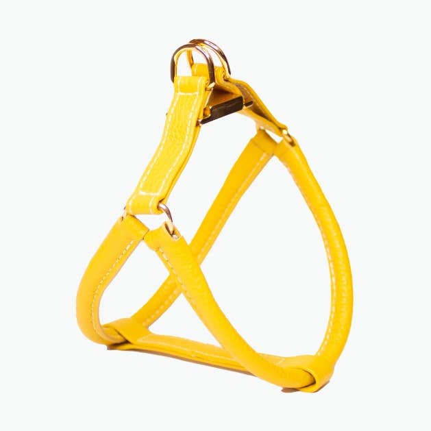 Agnes Harness - Geel, Medium voor wholesale door Clementine est dogs