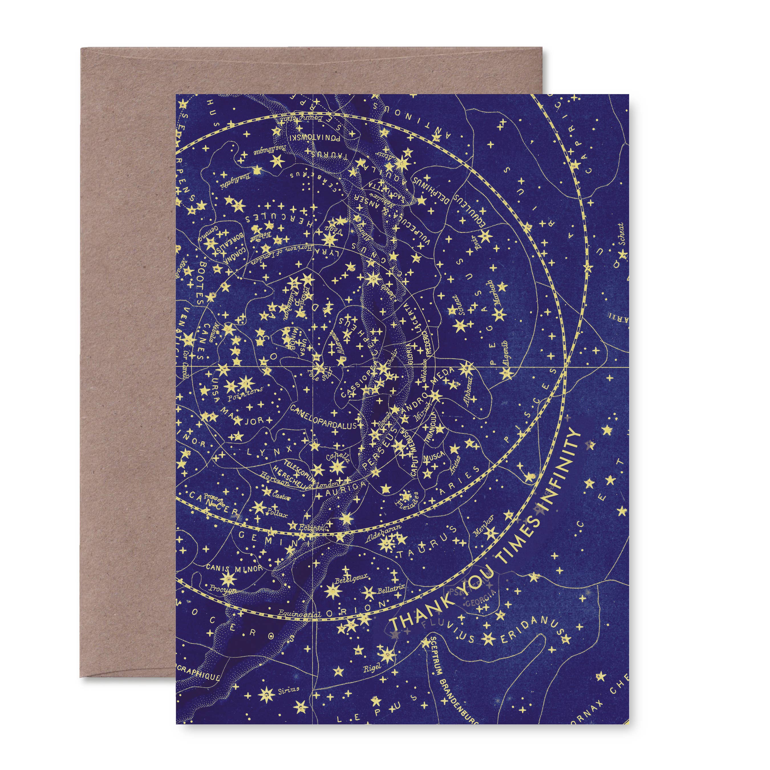 Pictrix Design - Wholesale Thank You Card - "Thank you times infinity" A6 greeting card7